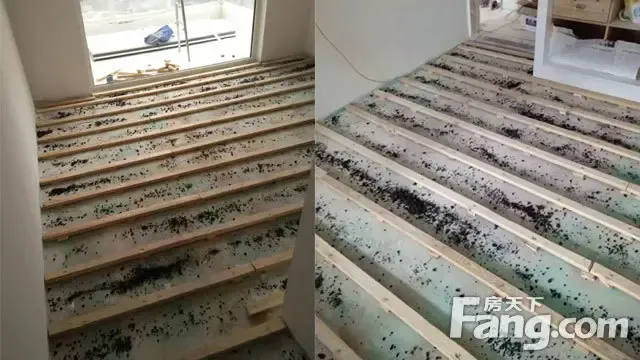木地板选购