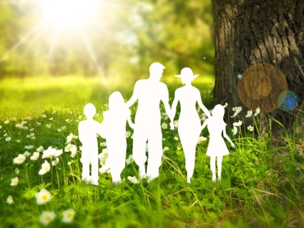 不动产登记效率低？如何优化房产转移登记流程(图1)