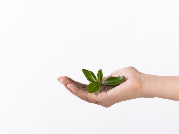 村委会非法占地拒不返还需承担哪些法律责任(图1)