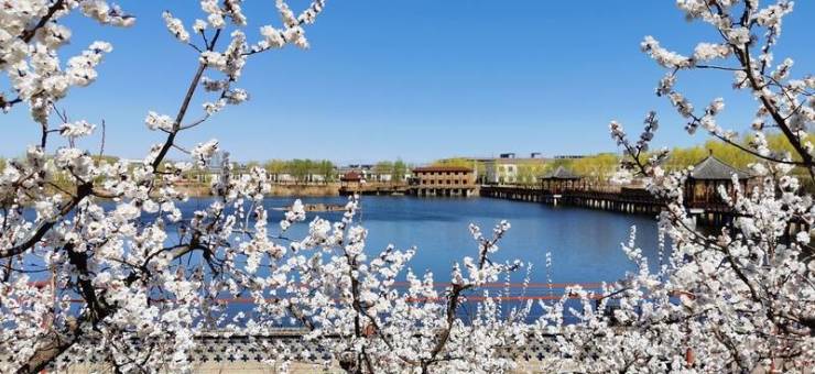 北京认知症养老社区推荐 普乐时光与东坝福寿苑专业照护(图5) 北京认知症养老社区推荐 普乐时光与东坝福寿苑专业照护(图5)