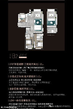 厦门海沧中心TOD璞瑞最新动态—户型图价格容积率解析(图4)
