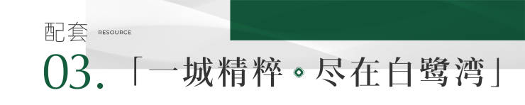 成都雍景白鹭湾项目解析 低密生态宜居社区(图9)