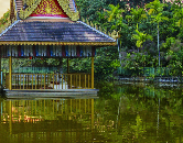 探秘缅甸小勐拉｜皇家国际旅游全攻略(图5)