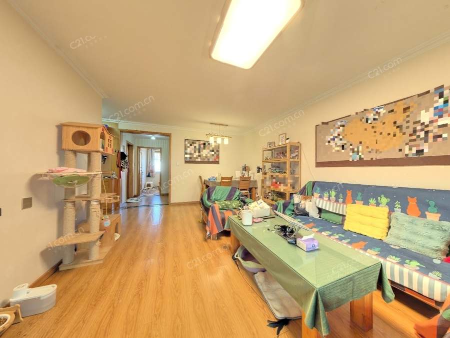 客厅
