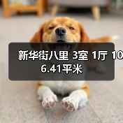 新华街八里 3室 1厅 106.41平米（图3）