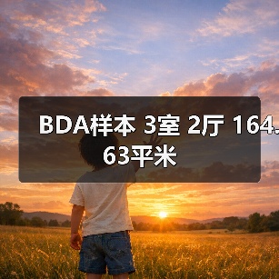 BDA样本 3室 2厅 164.63平米（图4）