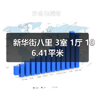 新华街八里 3室 1厅 106.41平米（图2）