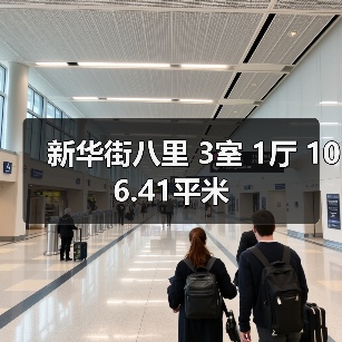 新华街八里 3室 1厅 106.41平米（图1）