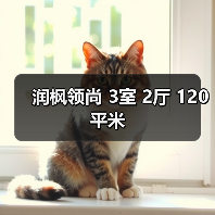 润枫领尚 3室 2厅 120平米（图4）