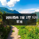 润枫领尚 3室 2厅 120平米（图3）