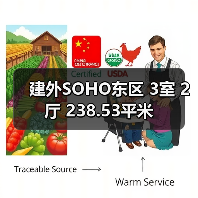 建外SOHO东区 3室 2厅 238.53平米（图2）