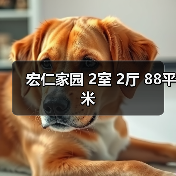 宏仁家园 2室 2厅 88平米（图2）