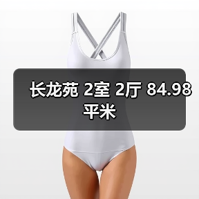 长龙苑 2室 2厅 84.98平米（图1）