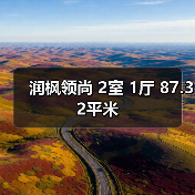 润枫领尚 2室 1厅 87.32平米（图3）