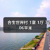 合生世界村 1室 1厅 72.06平米（图3）