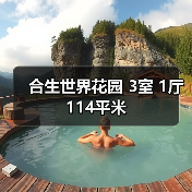合生世界花园 3室 1厅 114平米（图3）