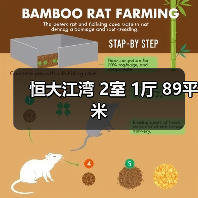 恒大江湾 2室 1厅 89平米（图3）