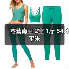 枣营南里 2室 1厅 54.4平米（图1）