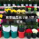 东亚瑞晶苑 2室 1厅 79平米（图4）