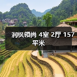 润枫领尚 4室 2厅 157平米（图4）