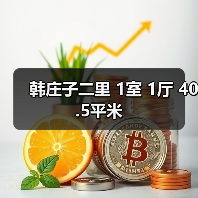 韩庄子二里 1室 1厅 40.5平米（图1）