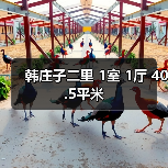 韩庄子二里 1室 1厅 40.5平米（图4）
