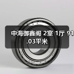 中海御鑫阁 2室 1厅 91.03平米（图2）