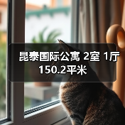 昆泰国际公寓 2室 1厅 150.2平米（图2）