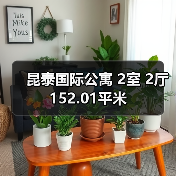 昆泰国际公寓 2室 2厅 152.01平米（图1）