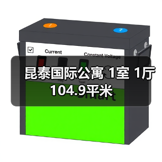 昆泰国际公寓 1室 1厅 104.9平米（图3）