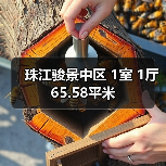 珠江骏景中区 1室 1厅 65.58平米（图4）