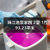 珠江逸景家园 2室 1厅 93.23平米（图2）