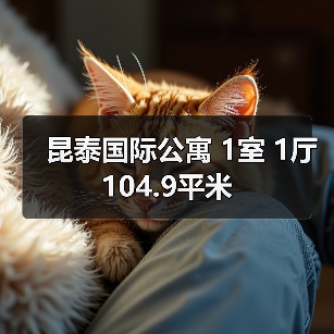 昆泰国际公寓 1室 1厅 104.9平米（图2）