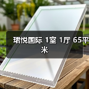 珺悦国际 1室 1厅 65平米（图3）