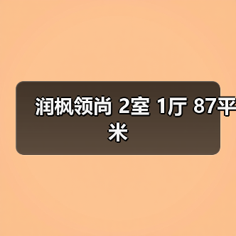 润枫领尚 2室 1厅 87平米（图3）
