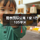 昆泰国际公寓 1室 1厅 105平米（图3）