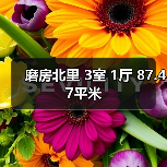磨房北里 3室 1厅 87.47平米（图1）