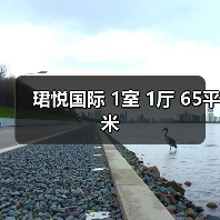 珺悦国际 1室 1厅 65平米（图3）