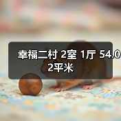 幸福二村 2室 1厅 54.02平米（图3）