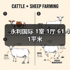永利国际 1室 1厅 61.41平米（图4）