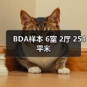 BDA样本 6室 2厅 251平米（图4）