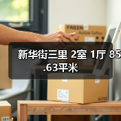 新华街三里 2室 1厅 85.63平米（图4）