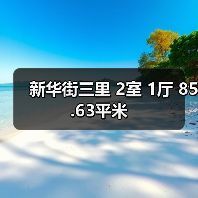 新华街三里 2室 1厅 85.63平米（图2）