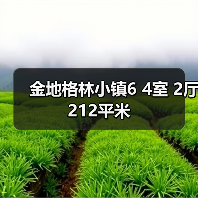 金地格林小镇6 4室 2厅 212平米（图3）