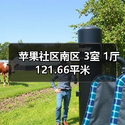 苹果社区南区 3室 1厅 121.66平米（图1）