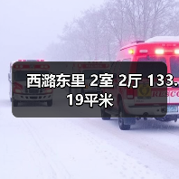 西潞东里 2室 2厅 133.19平米（图3）