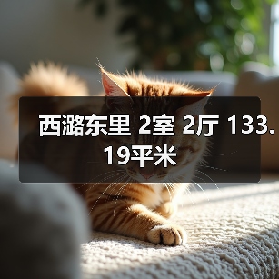 西潞东里 2室 2厅 133.19平米（图2）
