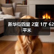 新华街四里 2室 1厅 62平米（图4）