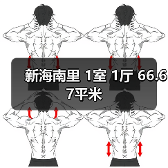新海南里 1室 1厅 66.67平米（图1）