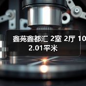 鑫苑鑫都汇 2室 2厅 102.01平米（图1）